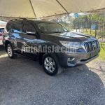 2018 Toyota Prado - Buy cars for sale in St. Elizabeth