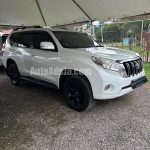 2015 Toyota Prado - Buy cars for sale in St. Elizabeth