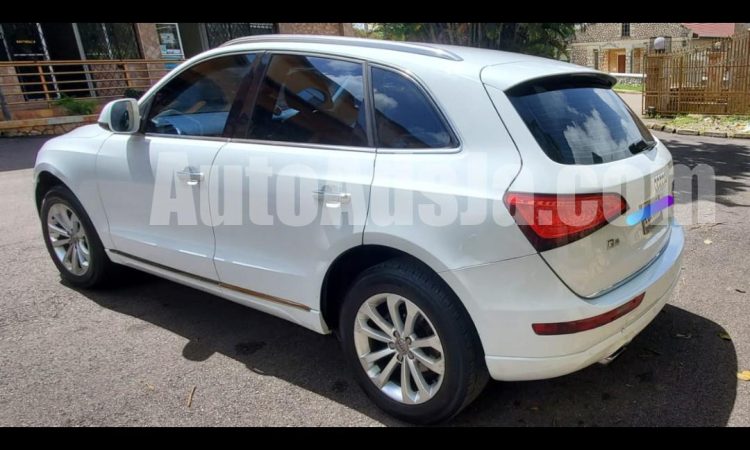 2015 Audi Q5 - Buy cars for sale in Westmoreland