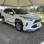 2019 Toyota RAV4 - Buy cars for sale in St. Elizabeth