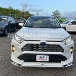 2019 Toyota Rav4 - Buy cars for sale in Kingston/St. Andrew