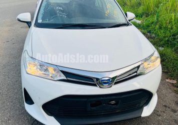 2019 Toyota Axio - Buy cars for sale in St. Ann