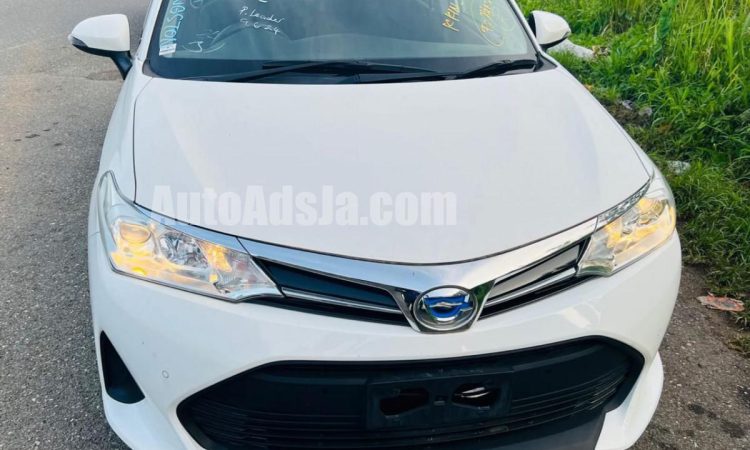 2019 Toyota Axio - Buy cars for sale in St. Ann