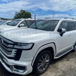 2023 Toyota Landcruiser - Buy cars for sale in St. James