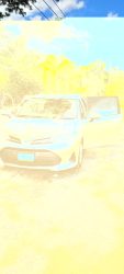 2019 Toyota Fielder - Buy cars for sale in St. Ann