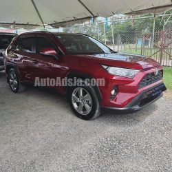 2021 Toyota Rav4 - Buy cars for sale in St. Elizabeth
