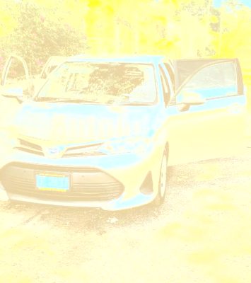 2019 Toyota Fielder - Buy cars for sale in St. Ann