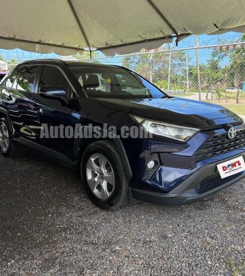 2020 Toyota Rav4 - Buy cars for sale in St. Elizabeth