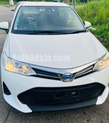 2019 Toyota Axio - Buy cars for sale in St. Ann