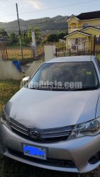 2013 Toyota Axio - Buy cars for sale in St. James