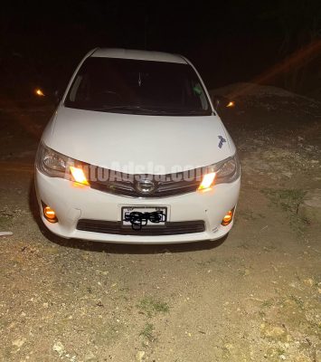 2013 Toyota Axio - Buy cars for sale in St. James