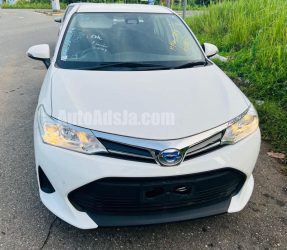 2019 Toyota Axio - Buy cars for sale in St. Ann