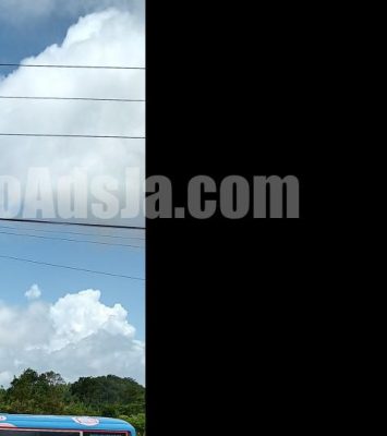 2006 Toyota Coaster - Buy cars for sale in St. Ann