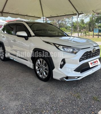 2019 Toyota RAV4 - Buy cars for sale in St. Elizabeth