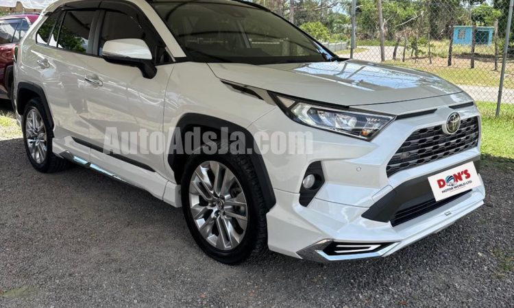 2019 Toyota RAV4 - Buy cars for sale in St. Elizabeth