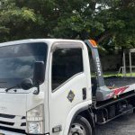2017 Isuzu Elf (KM0215024) - Buy cars for sale in Kingston/St. Andrew